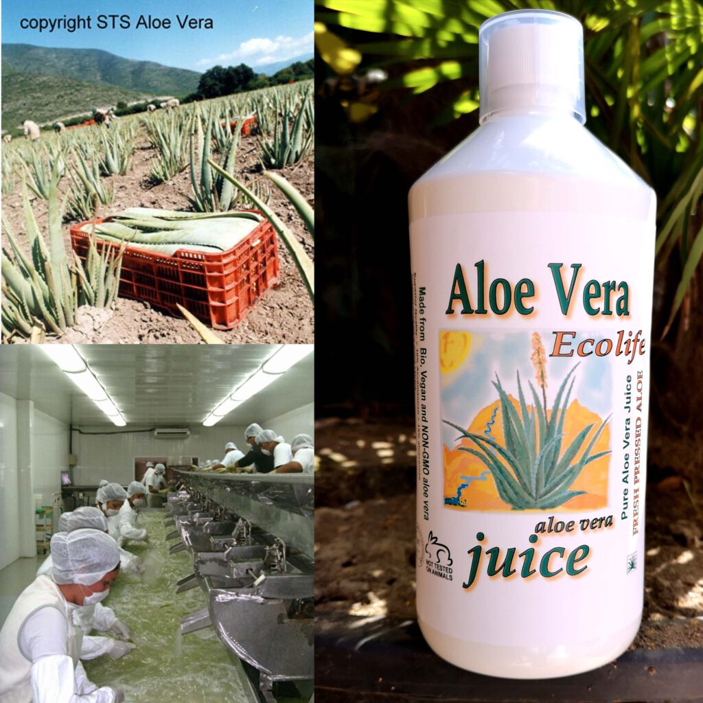 aloë juice ecolife aloevera naar de webshop