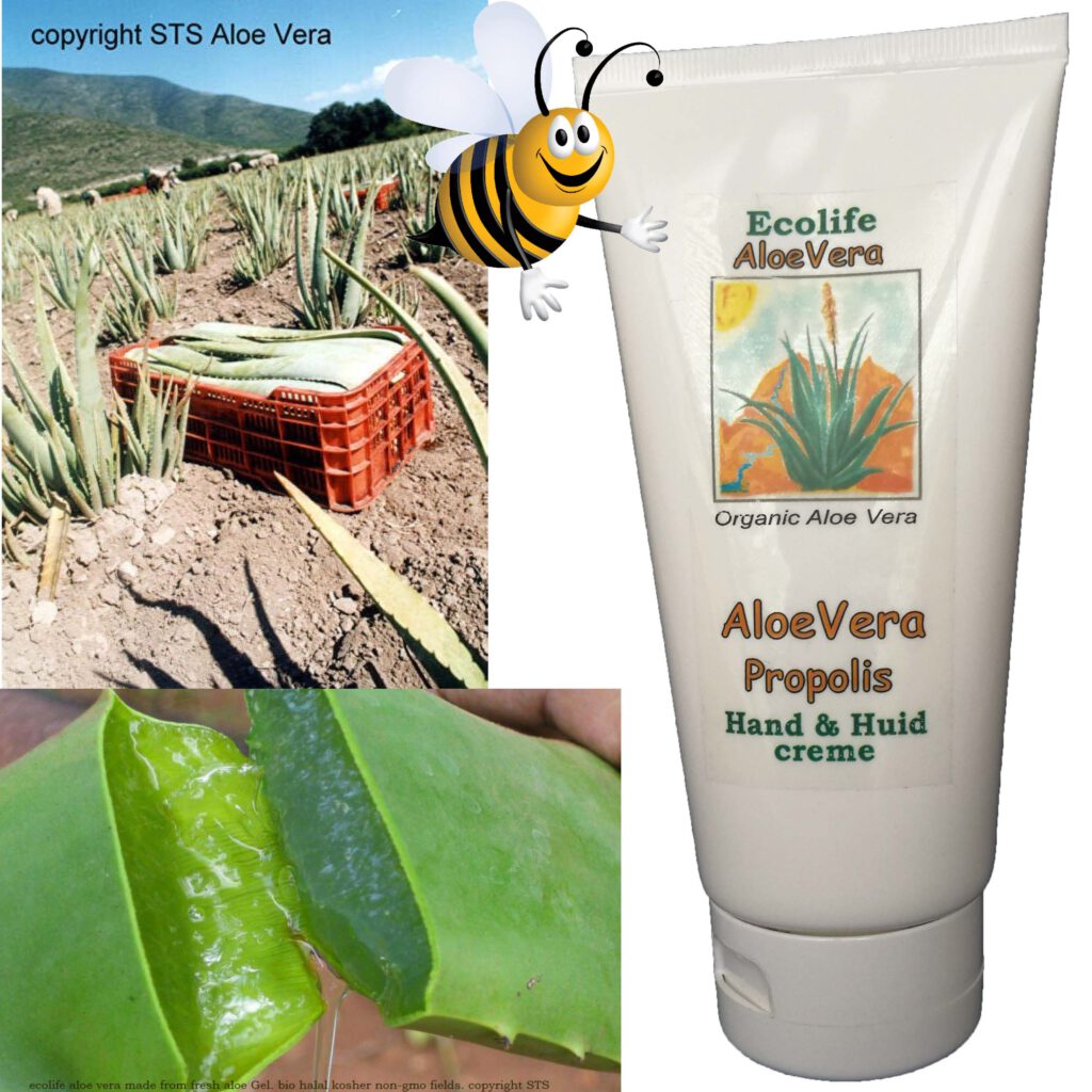 Ecolife aloë producten