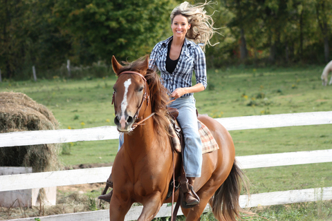 paard en aloë vera